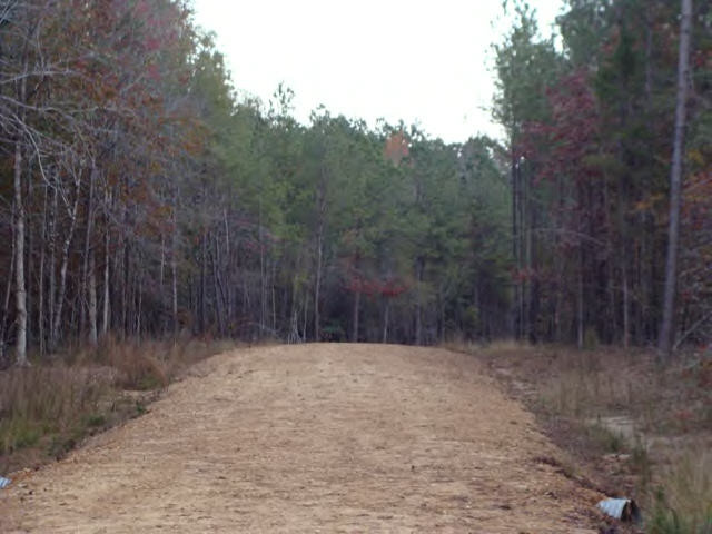 Lot 7 West A W Topisaw Road Ruth, MS 39662 - Photo 1 of 1 Main View
