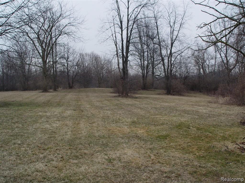 9250 Napier Road Northville, MI 48167 - Photo 2 of 8 Northville Wow 14 acres (7).JPG