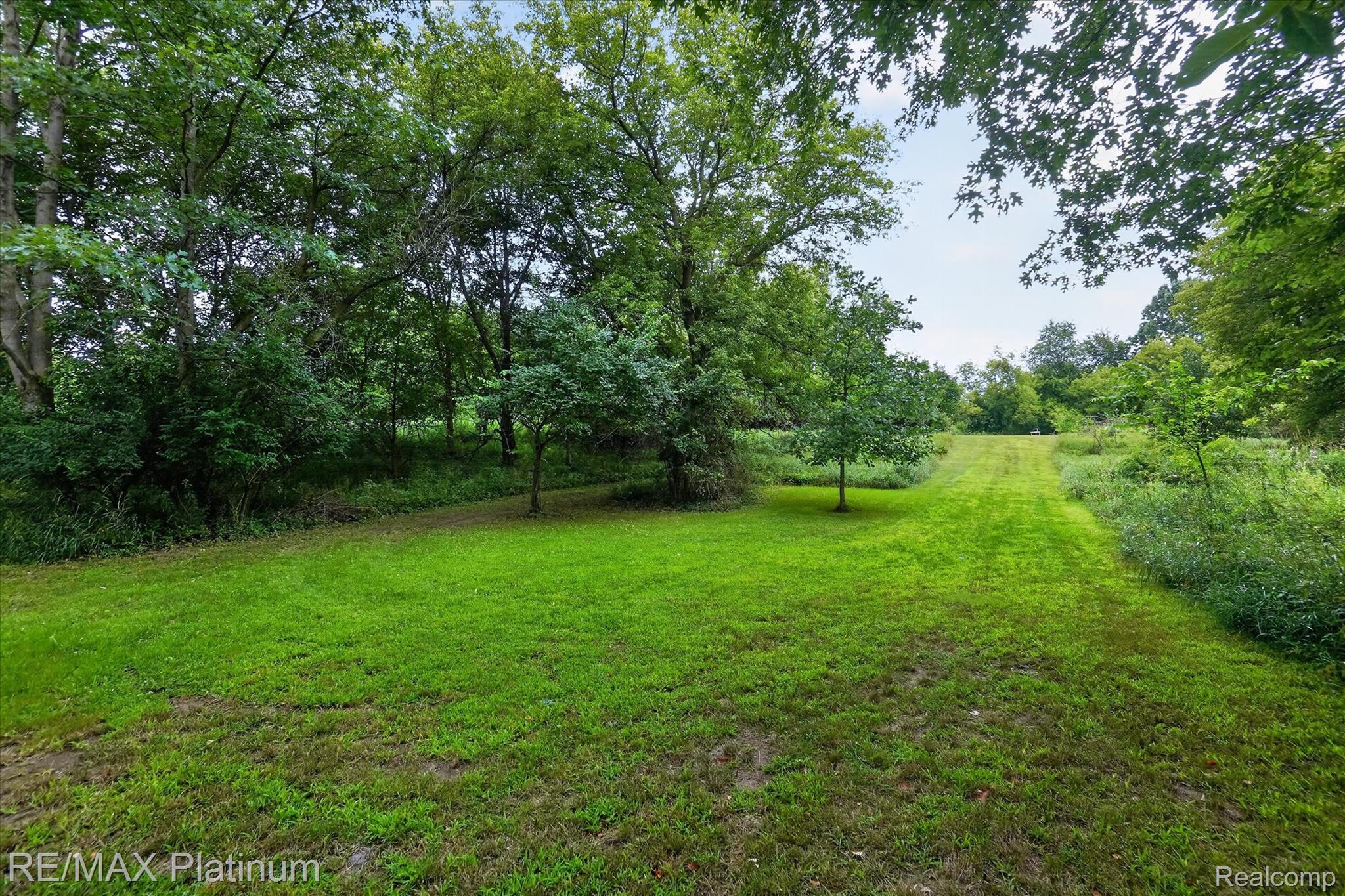 4457 Bradley Road Gregory, MI 48137 - Photo 60 of 79 Expansive green space featuring mature trees and a clear path