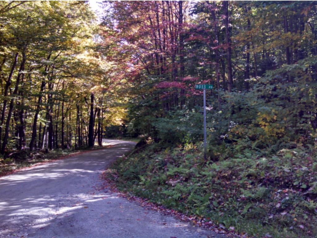 Lot 87 Ross Road Readsboro, VT 05350 - Photo 3 of 5