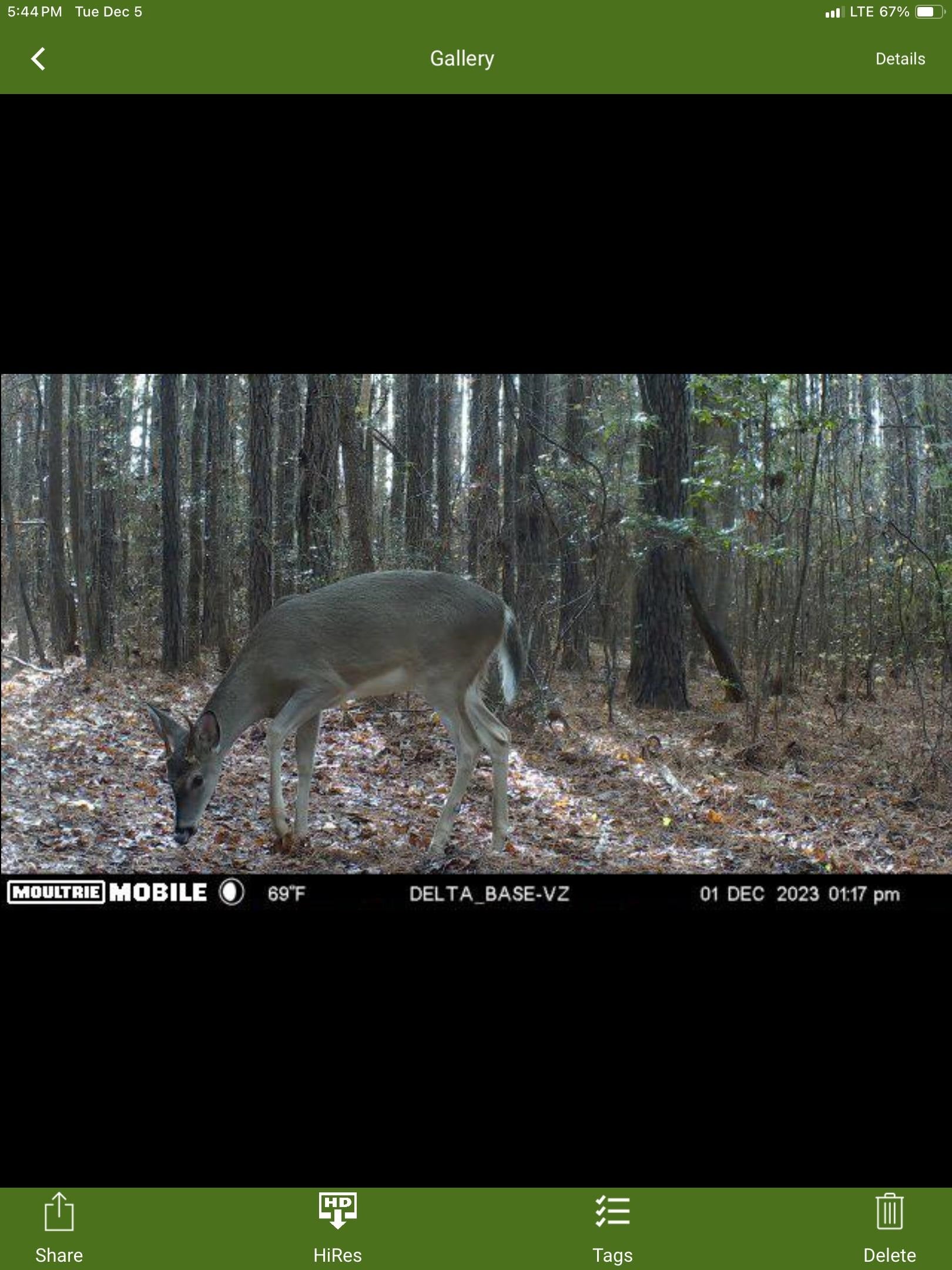 995 Judge Smith Road Andalusia, AL 36421 - Photo 9 of 12 Gallery Image 9