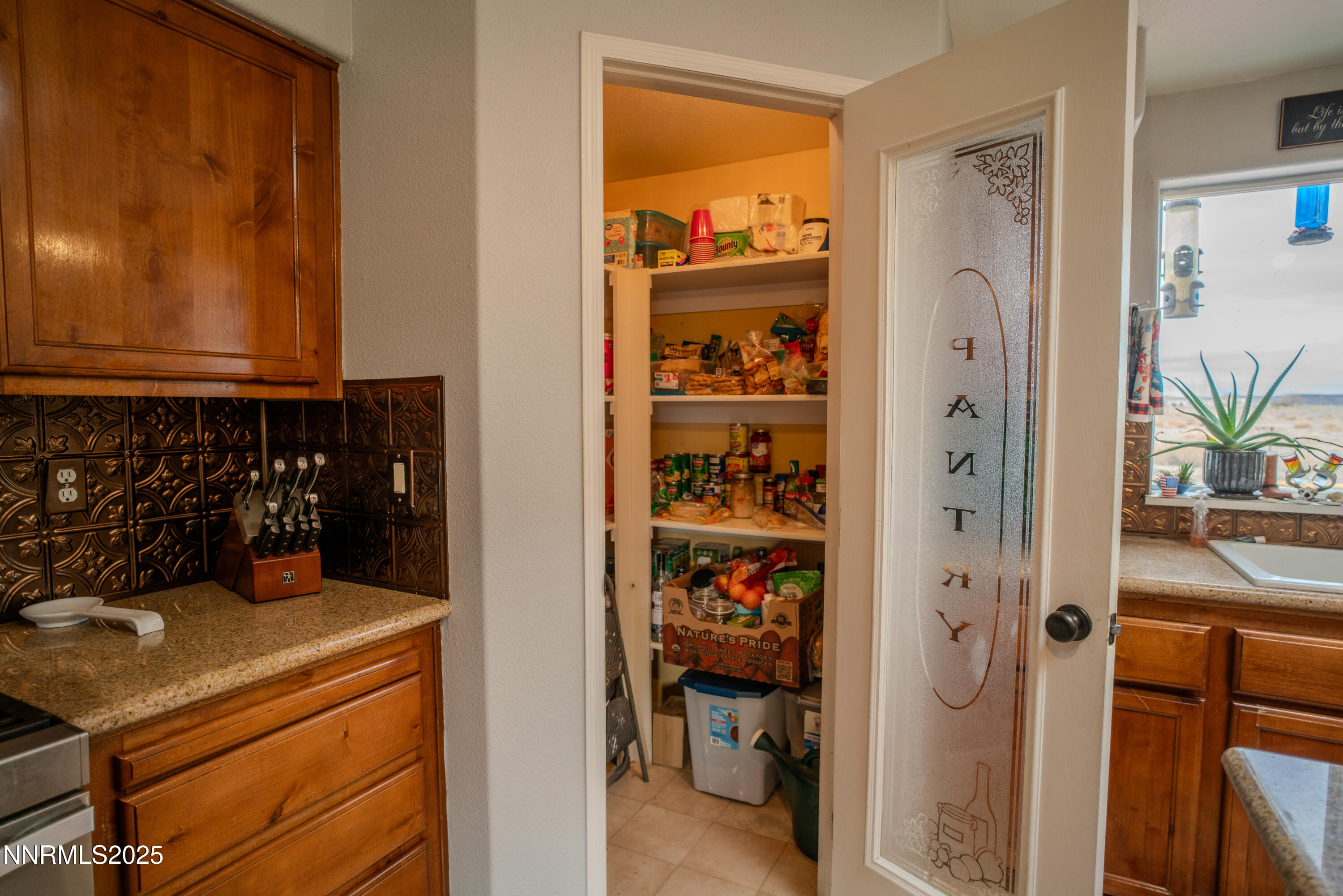 3250 4th Street Silver Springs, NV 89429 - Photo 47 of 73 a view of storage and utility room