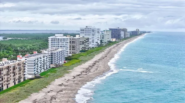 a view of a city with flower in front of it