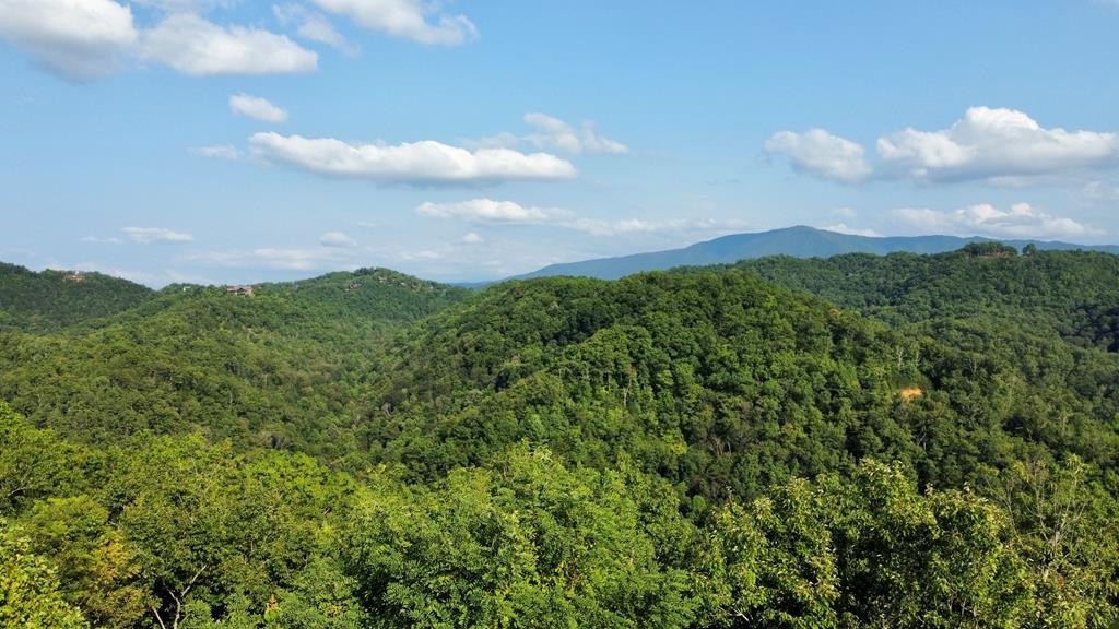 4060 Ridgeback Lane Sevierville, TN 37862 - Photo 1 of 24