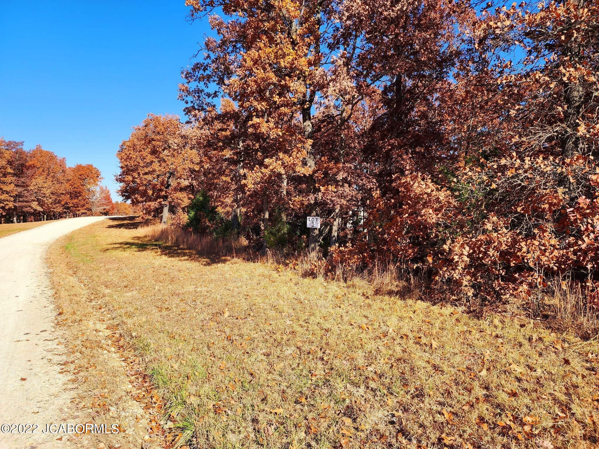 Lot One Copperstone Road Camdenton, MO 65020 - Photo 5 of 5