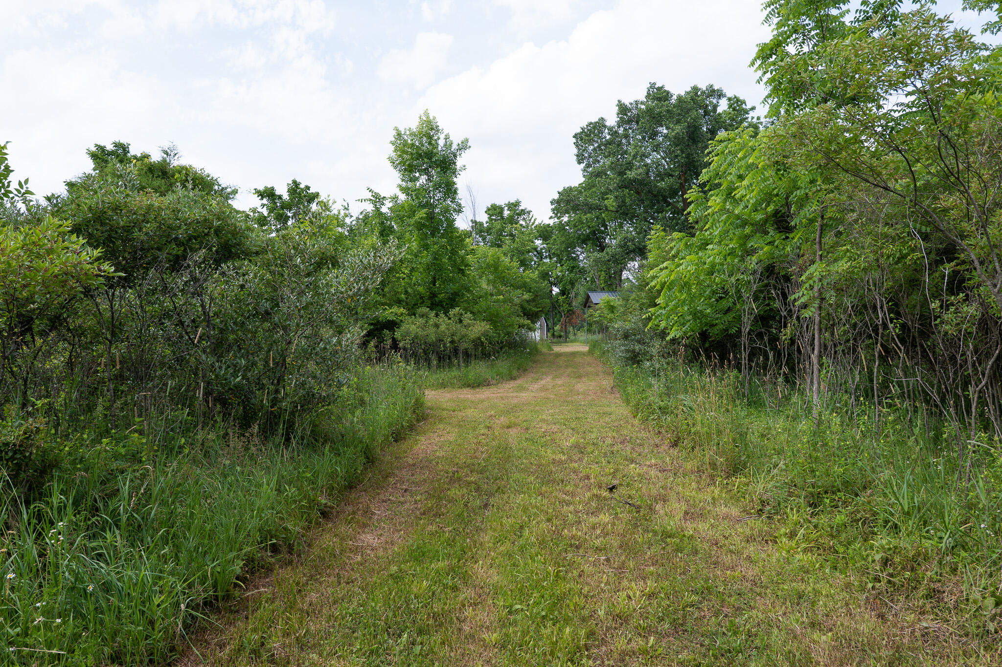 3282 Jerome Road North North Adams, MI 49262 - Photo 26 of 34 P1067870