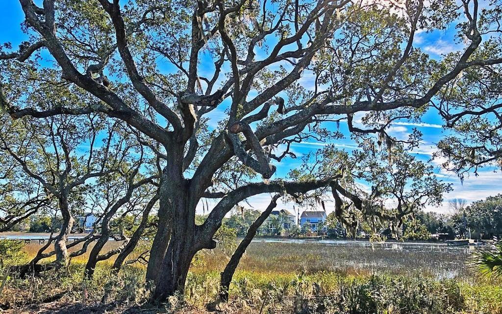 1527 Charming Nancy Road Charleston, SC 29412 - Photo 6 of 19 marsh