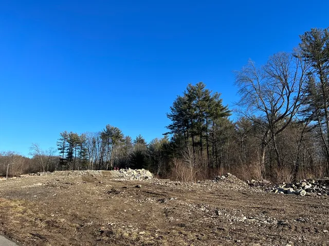 a view of a yard with trees in the background