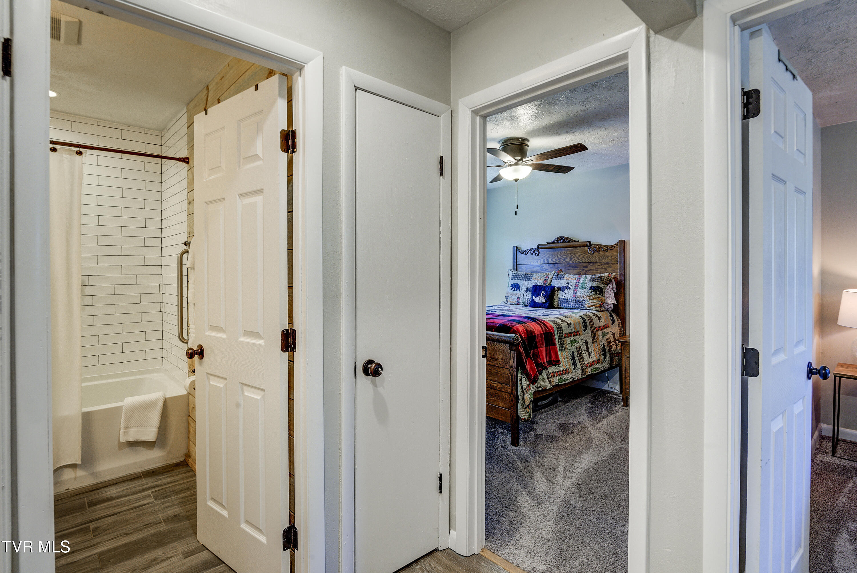 179 Muskrat Ramble Road Mountain City, TN 37683 - Photo 21 of 79 Musk-33