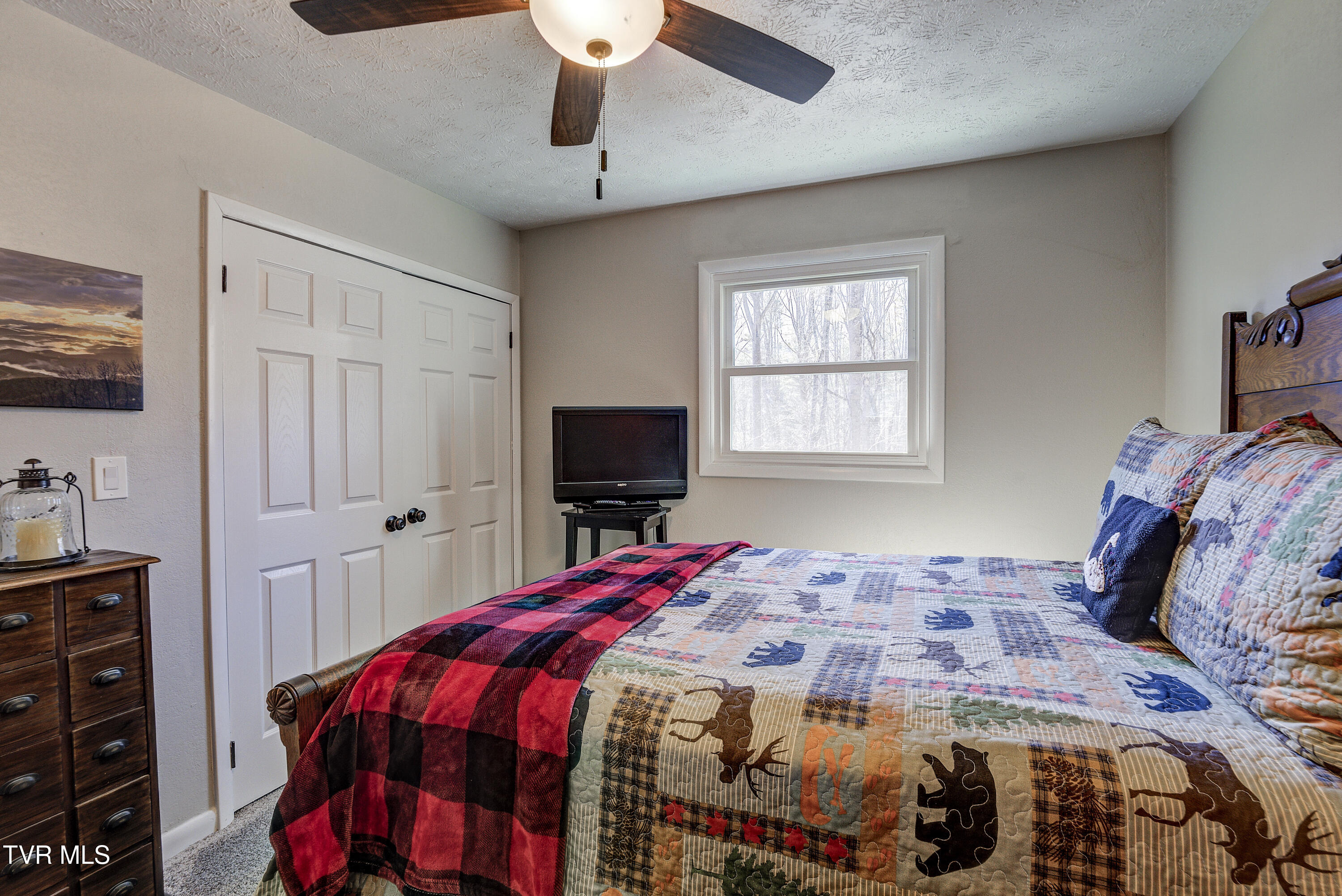 179 Muskrat Ramble Road Mountain City, TN 37683 - Photo 26 of 79 Musk-38