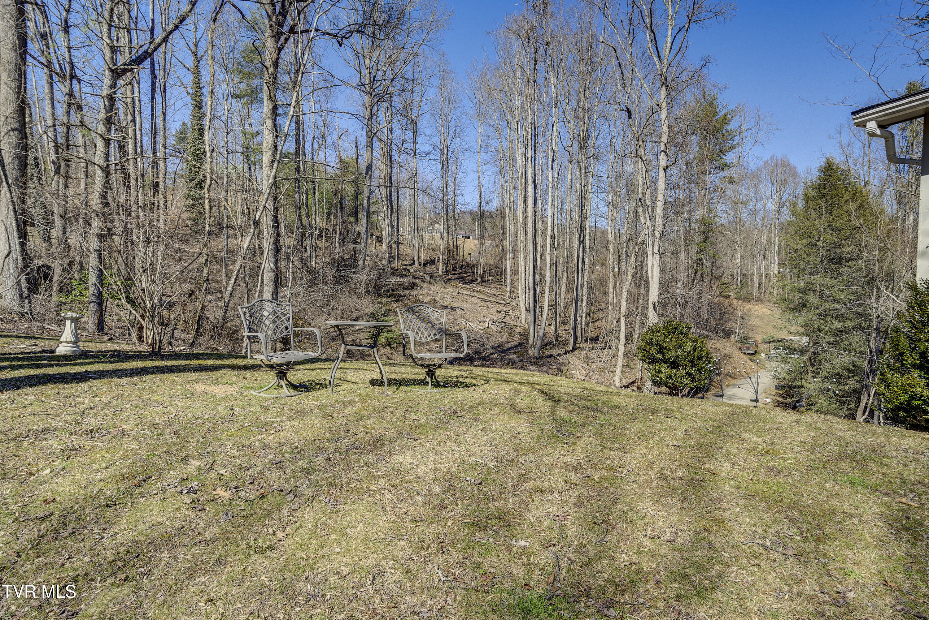 179 Muskrat Ramble Road Mountain City, TN 37683 - Photo 48 of 79 Musk-45