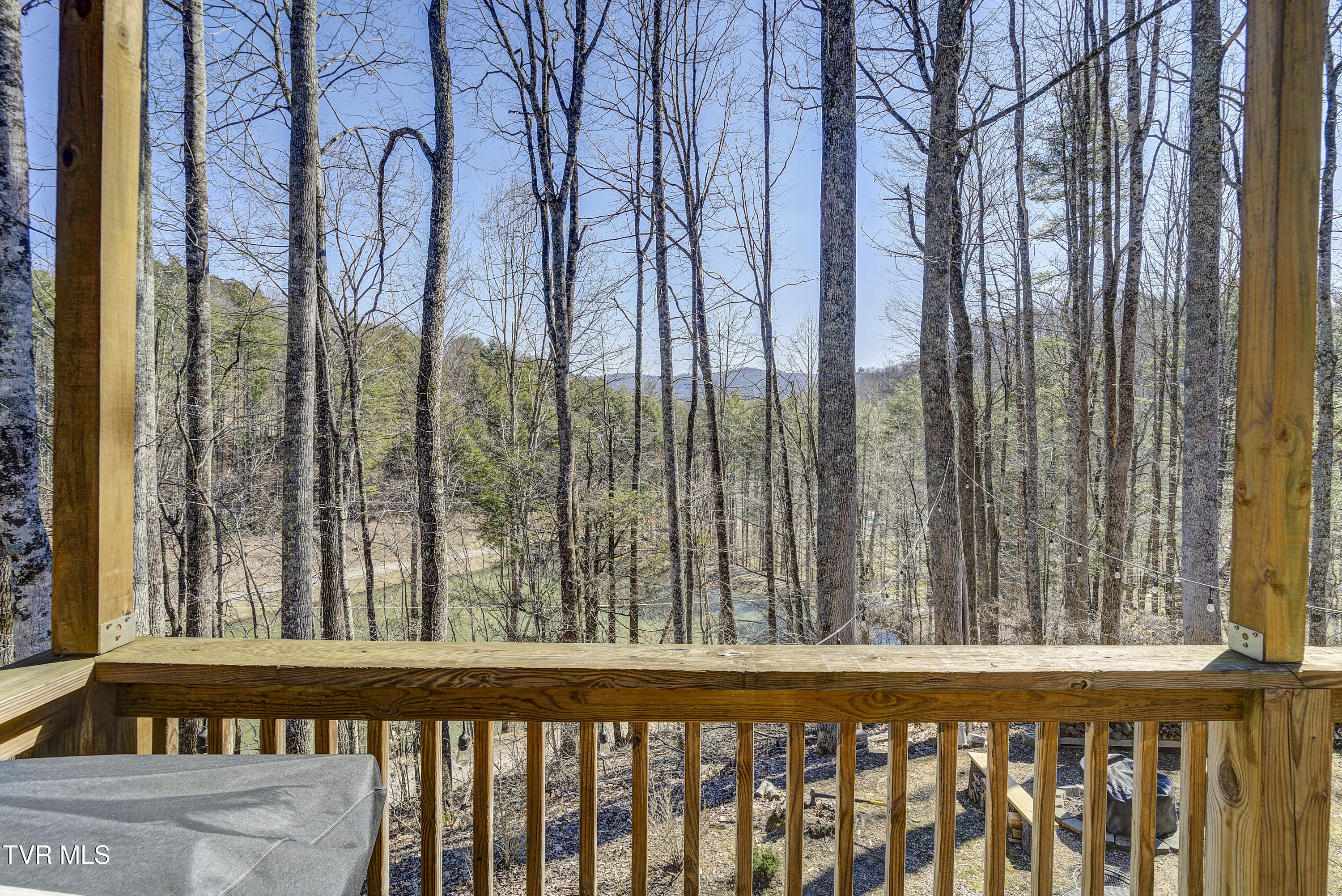 179 Muskrat Ramble Road Mountain City, TN 37683 - Photo 55 of 79 Musk-44