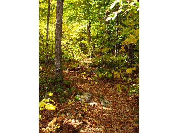220 Shepard Hill Road Holderness, NH 03245 - Photo 36 of 36 Gallery Image 36