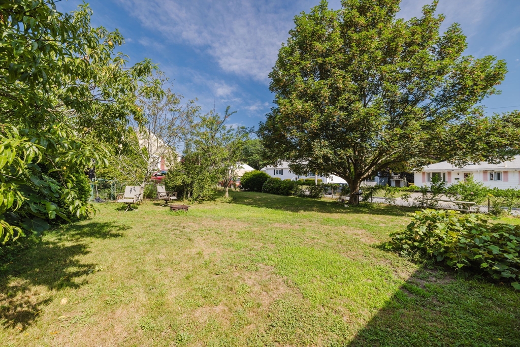 1957 Rodman Street Fall River, MA 02721 - Photo 8 of 32 a view of a yard with plants and trees