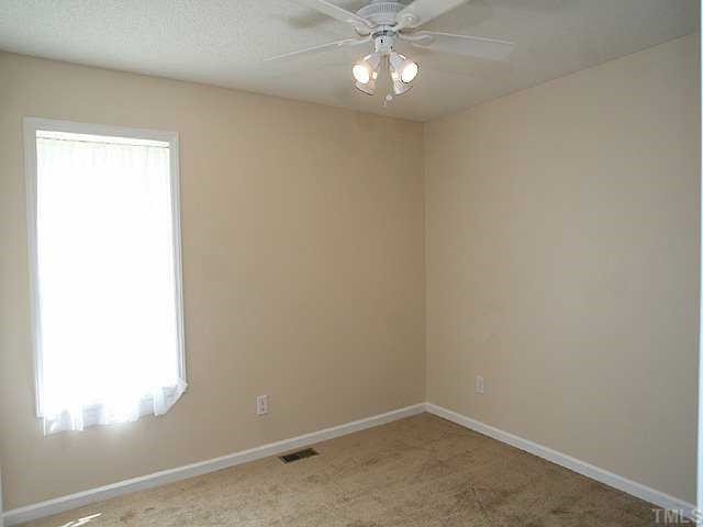267 Greenleaf Road Angier, NC 27501 - Photo 10 of 12 Other