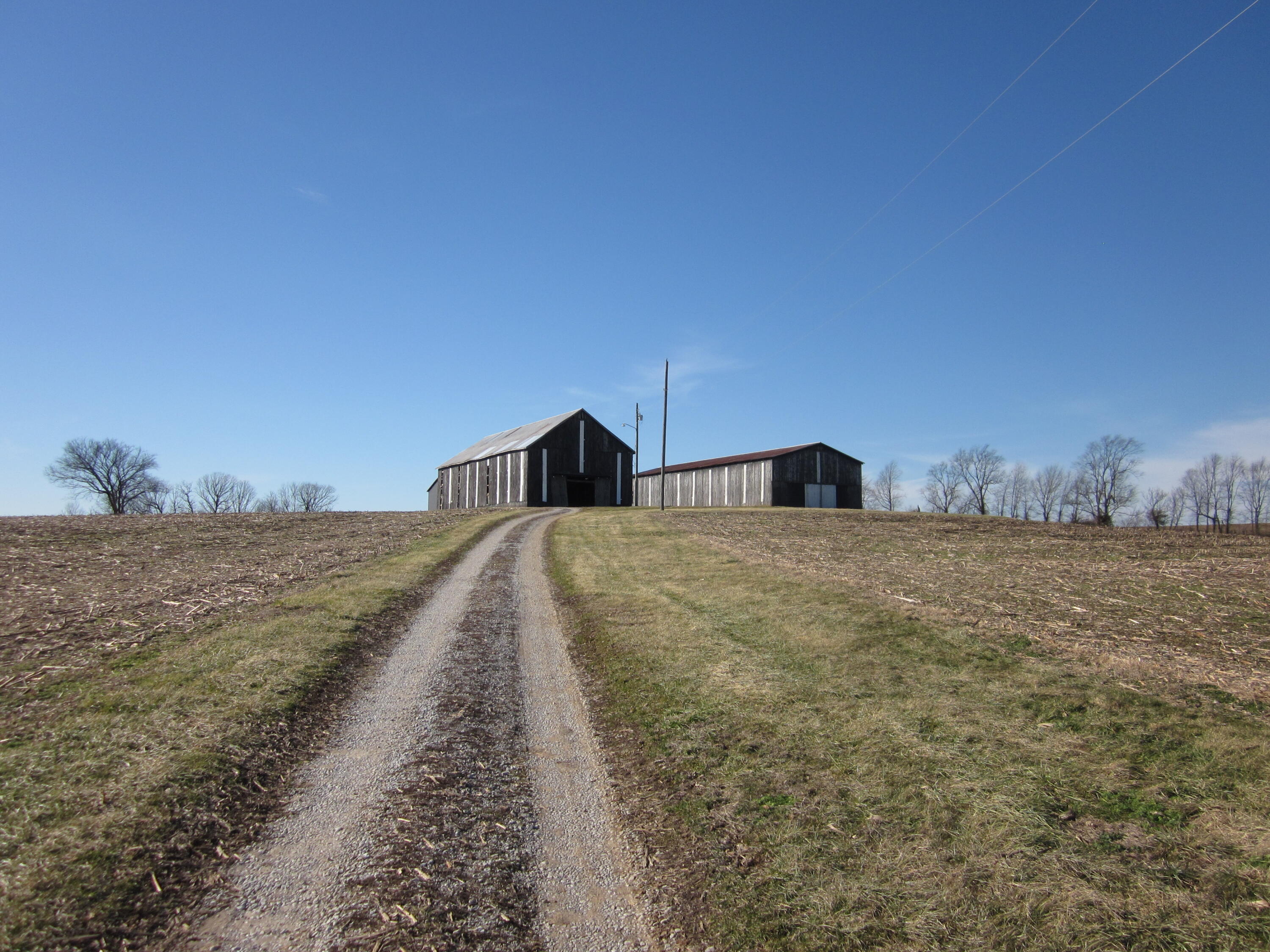 3115 Houston Antioch Road Lexington, KY 40516 - Photo 6 of 62 IMG_7794