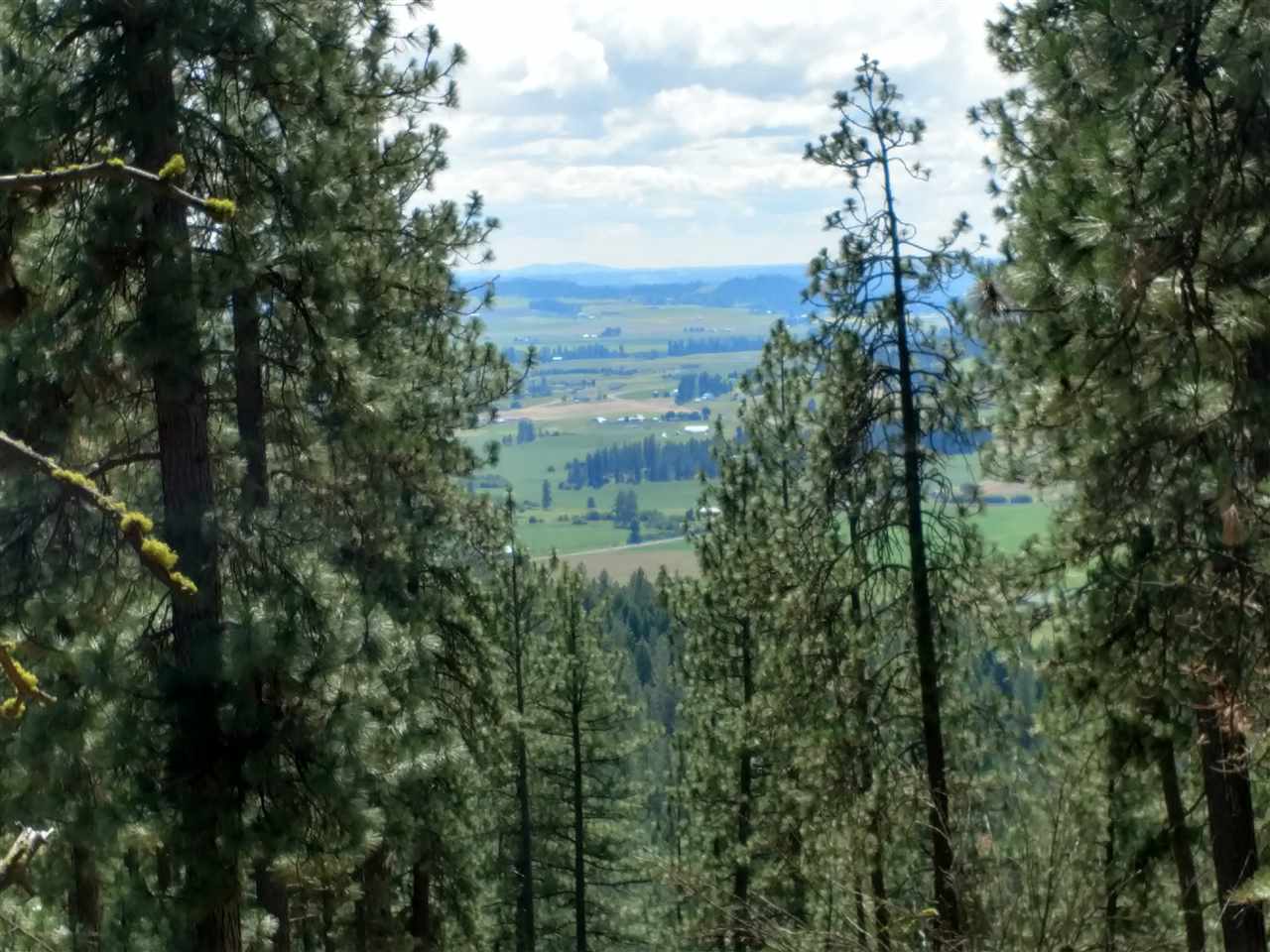15825 East Cooper Road Mead, WA 99021 - Photo 1 of 10