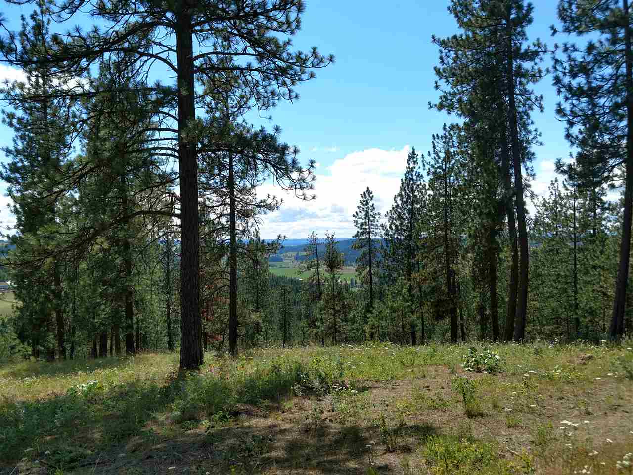15825 East Cooper Road Mead, WA 99021 - Photo 2 of 10