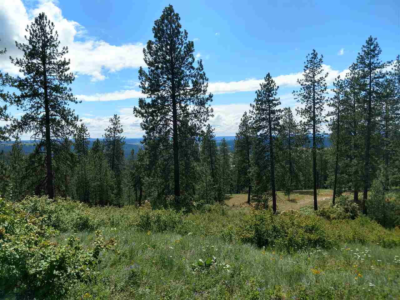 15825 East Cooper Road Mead, WA 99021 - Photo 3 of 10