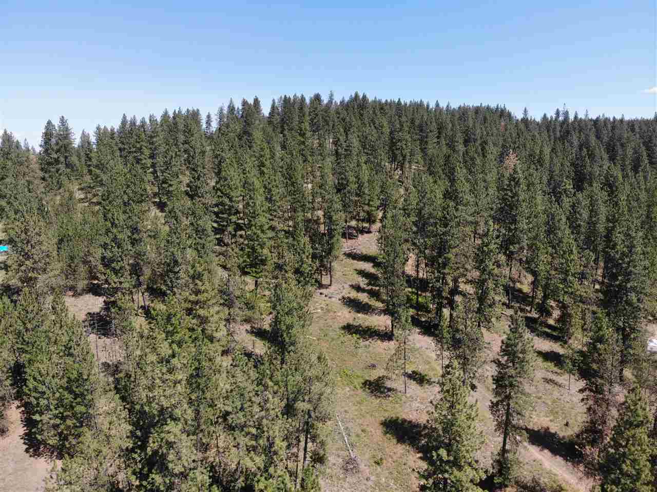 15825 East Cooper Road Mead, WA 99021 - Photo 5 of 10