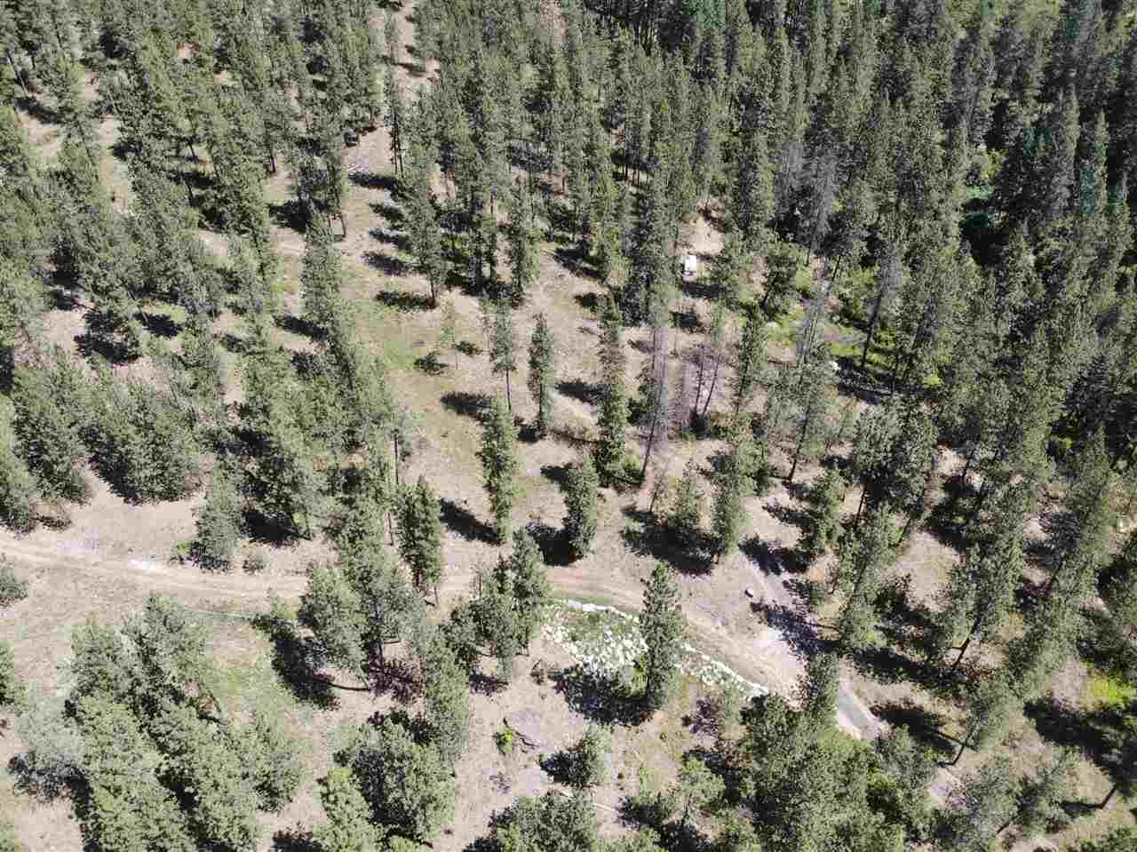 15825 East Cooper Road Mead, WA 99021 - Photo 7 of 10