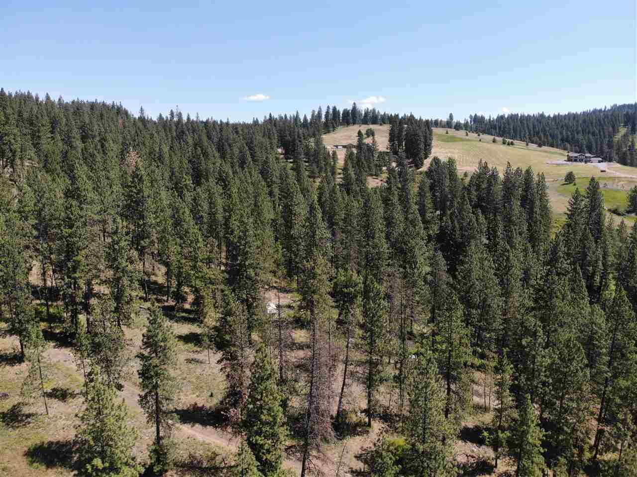 15825 East Cooper Road Mead, WA 99021 - Photo 9 of 10