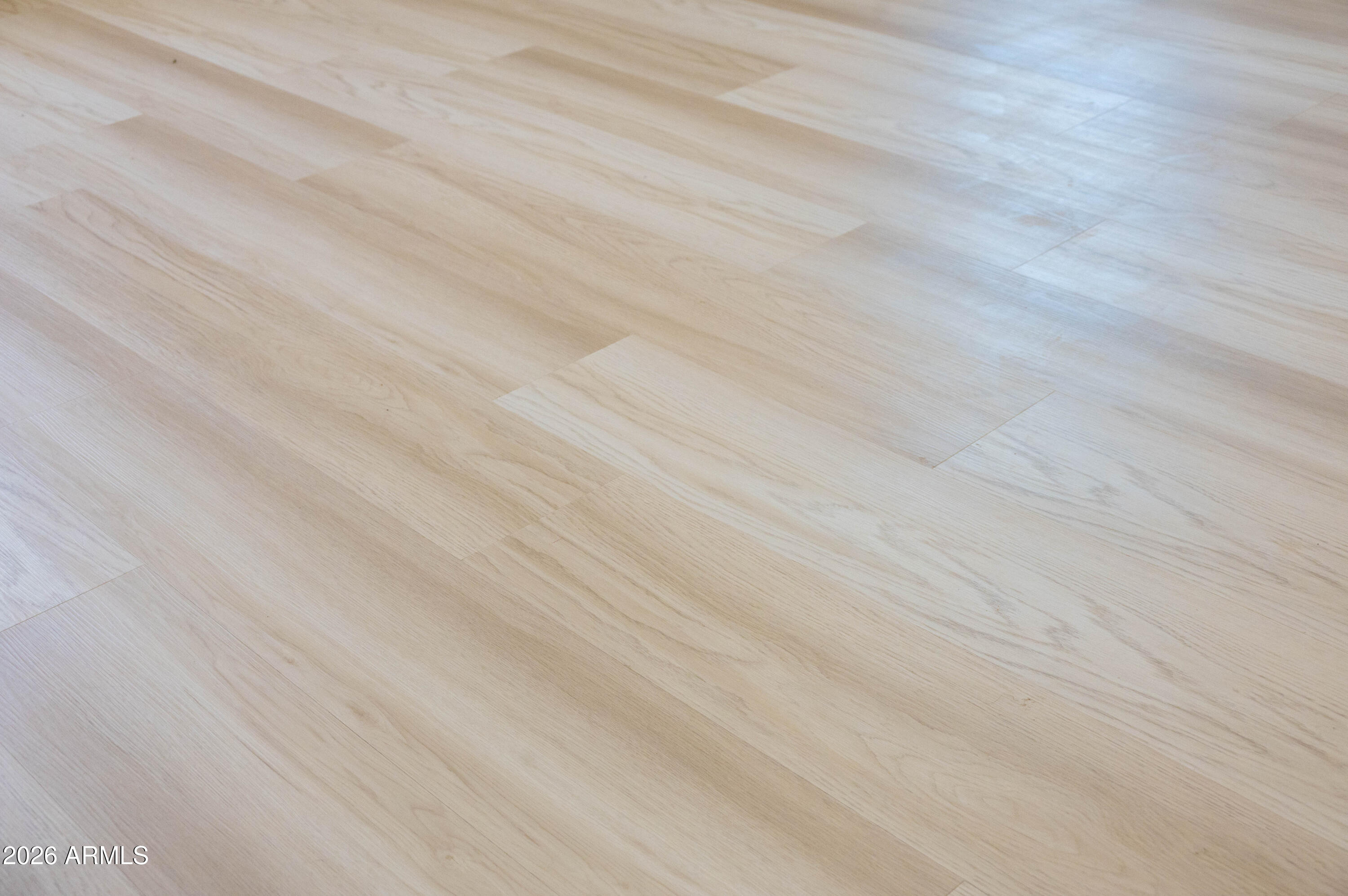 45633 West Mountain View Road Maricopa, AZ 85139 - Photo 17 of 78 17 Flooring