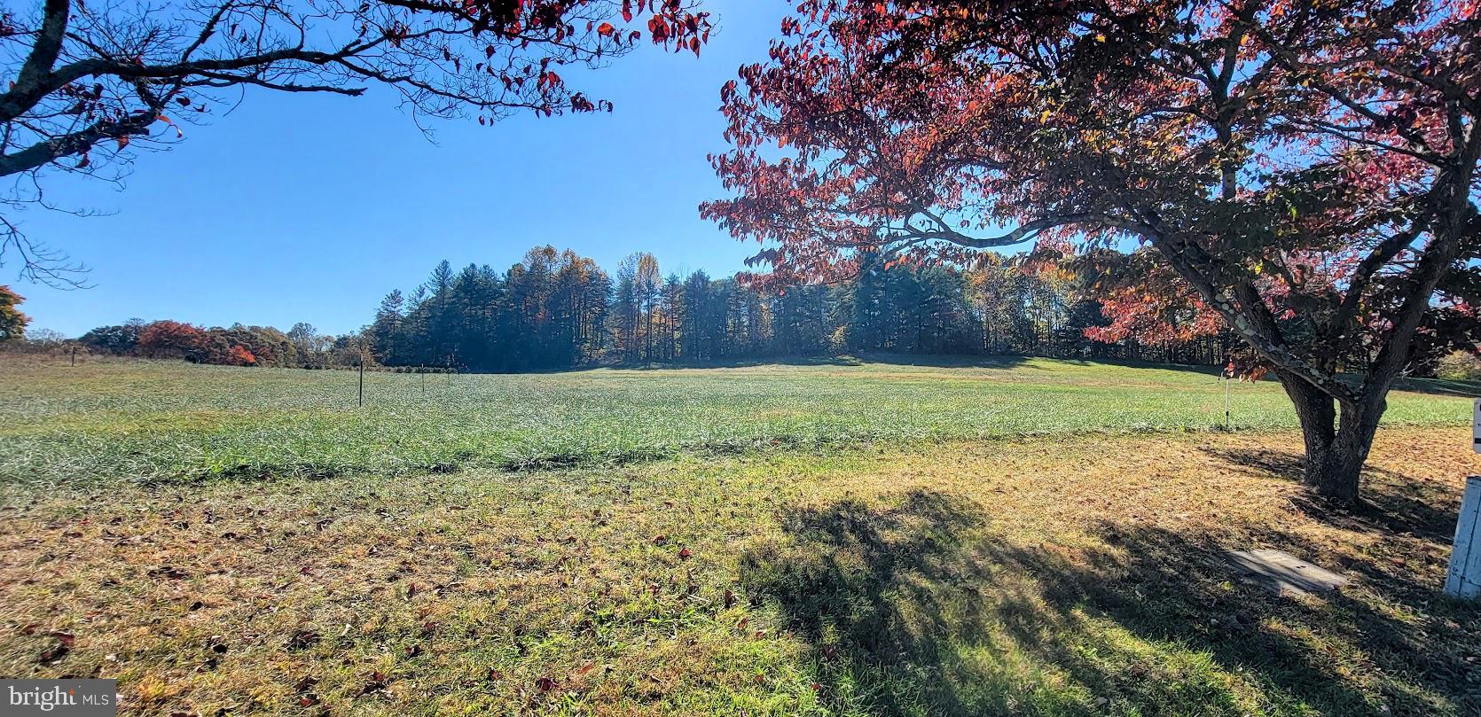 Magruders Ferry Road, Unit PARCEL C Brandywine, MD 20613 - Photo 11 of 39 a view of a yard with a tree