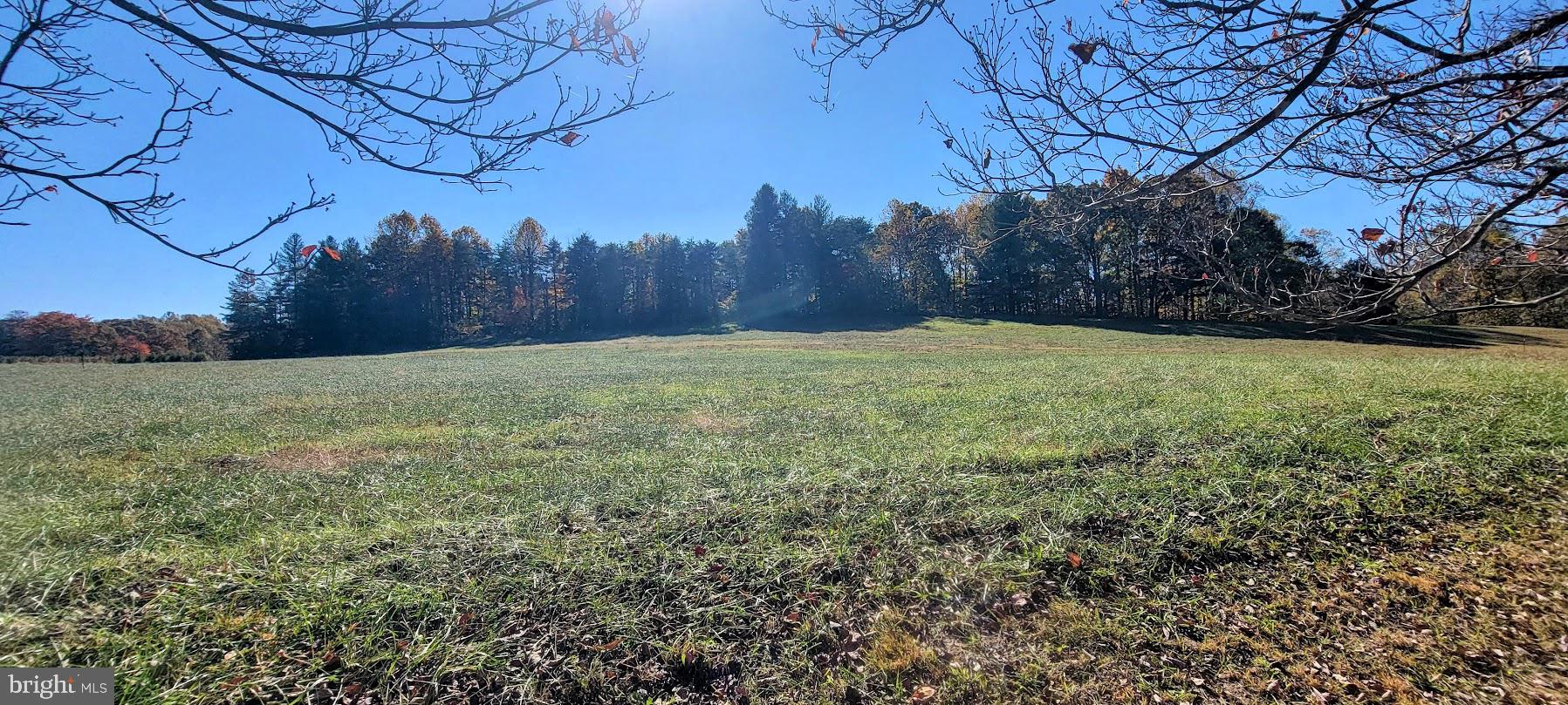 Magruders Ferry Road, Unit PARCEL C Brandywine, MD 20613 - Photo 12 of 39 a view of a yard with a tree