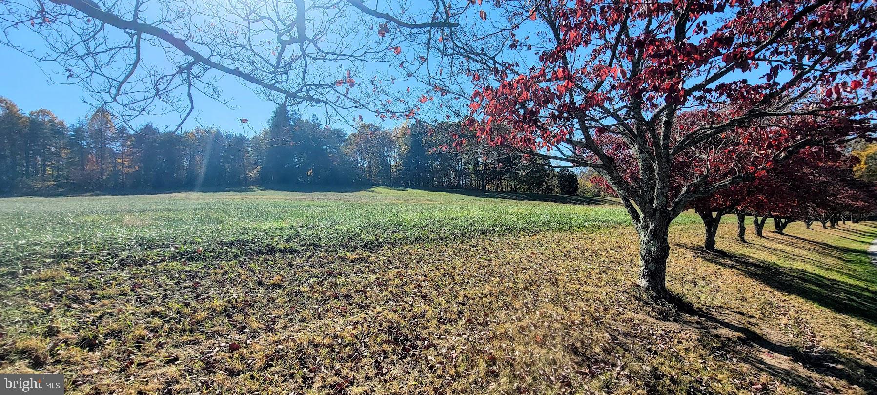Magruders Ferry Road, Unit PARCEL C Brandywine, MD 20613 - Photo 13 of 39 a view of a yard with a tree