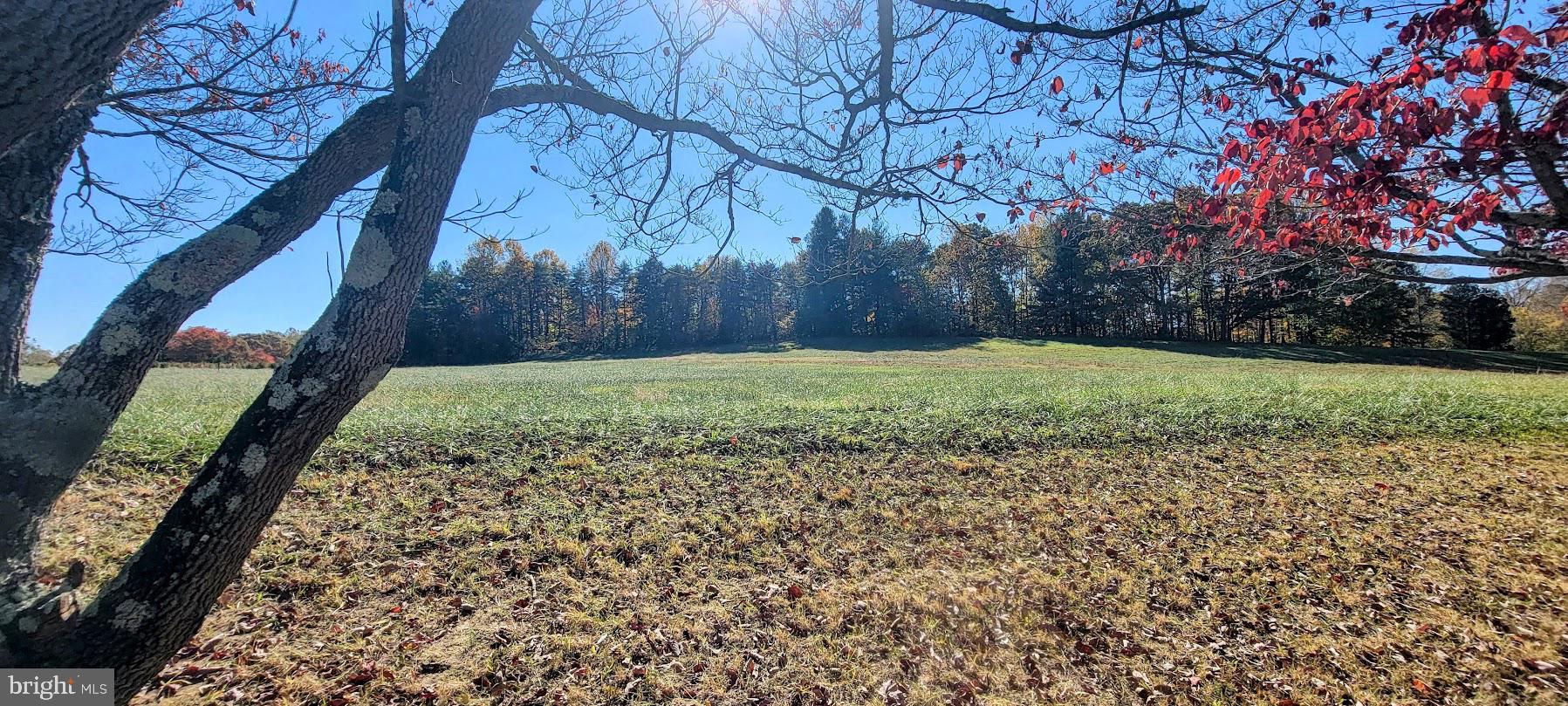Magruders Ferry Road, Unit PARCEL C Brandywine, MD 20613 - Photo 14 of 39 a view of a yard with an trees