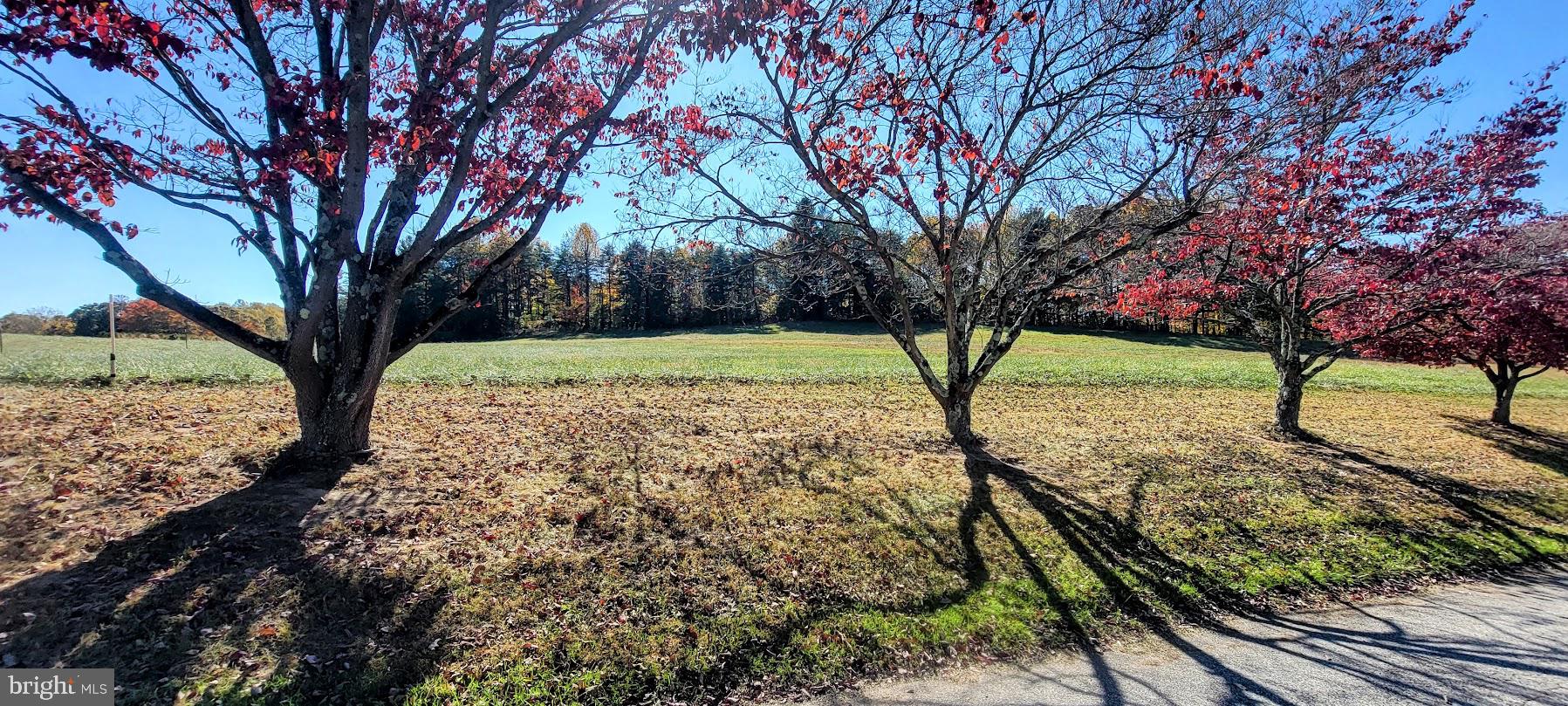 Magruders Ferry Road, Unit PARCEL C Brandywine, MD 20613 - Photo 16 of 39 a view of a yard with a tree