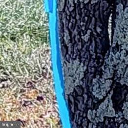 Magruders Ferry Road, Unit PARCEL C Brandywine, MD 20613 - Photo 20 of 39 a bathroom with a shower curtain