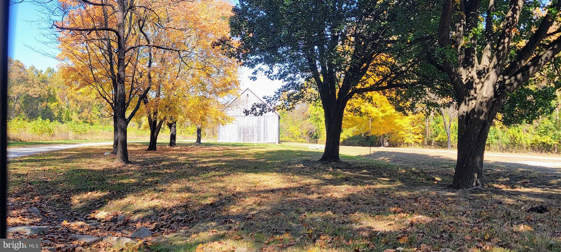 Magruders Ferry Road, Unit PARCEL C Brandywine, MD 20613 - Photo 26 of 39 a view of a tree in the middle of a yard