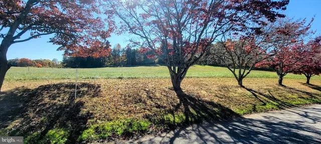 a view of yard with tree