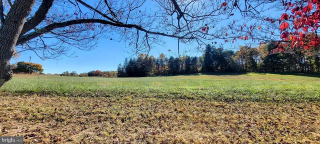 a view of a yard with an trees
