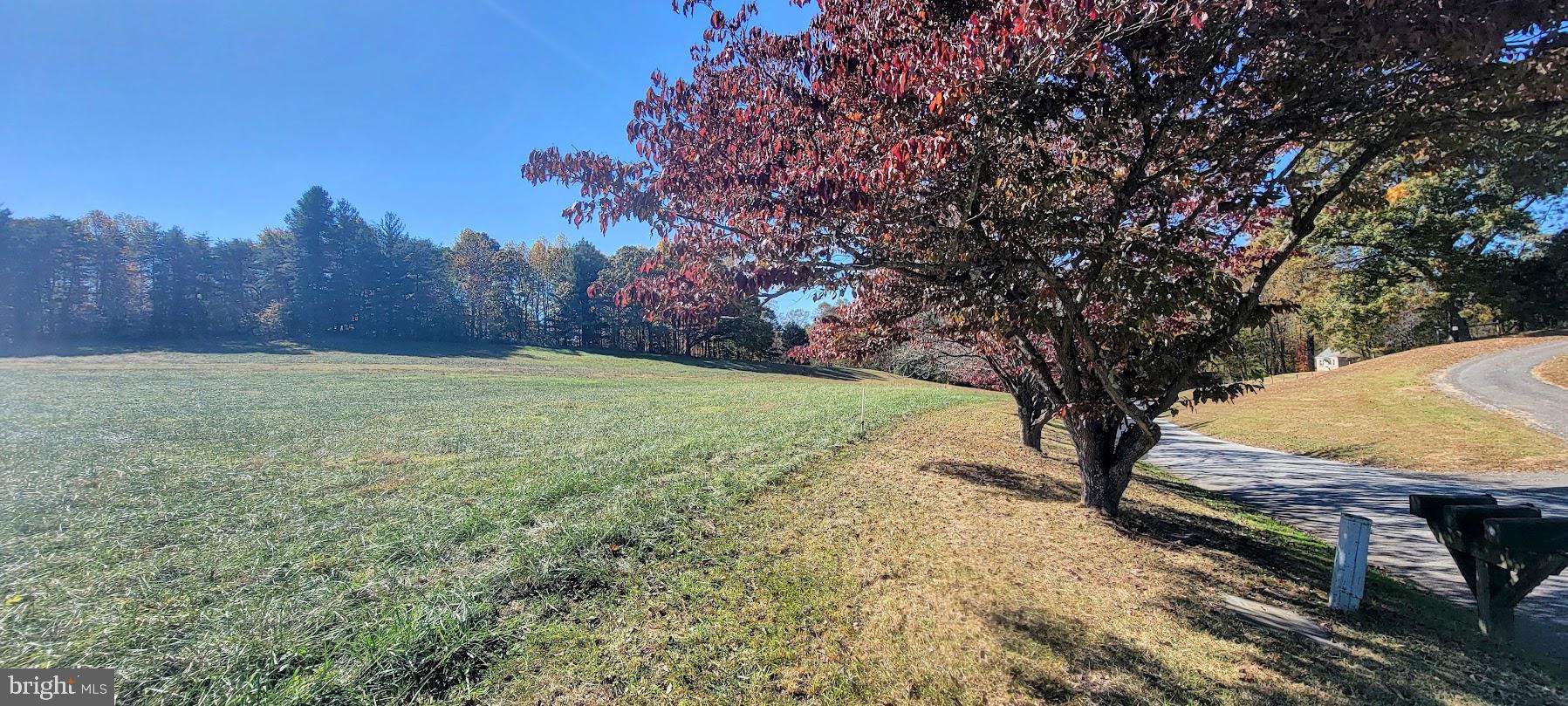 Magruders Ferry Road, Unit PARCEL C Brandywine, MD 20613 - Photo 10 of 39 a view of a yard with a tree