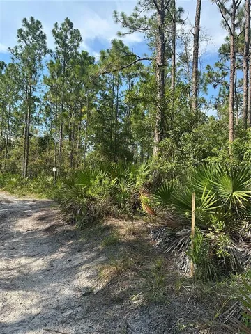 a big yard with lots of green space