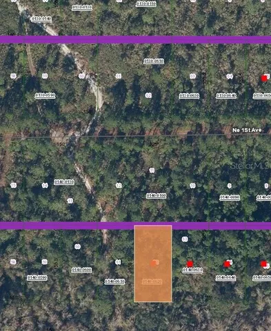 a view of a flower in a yard