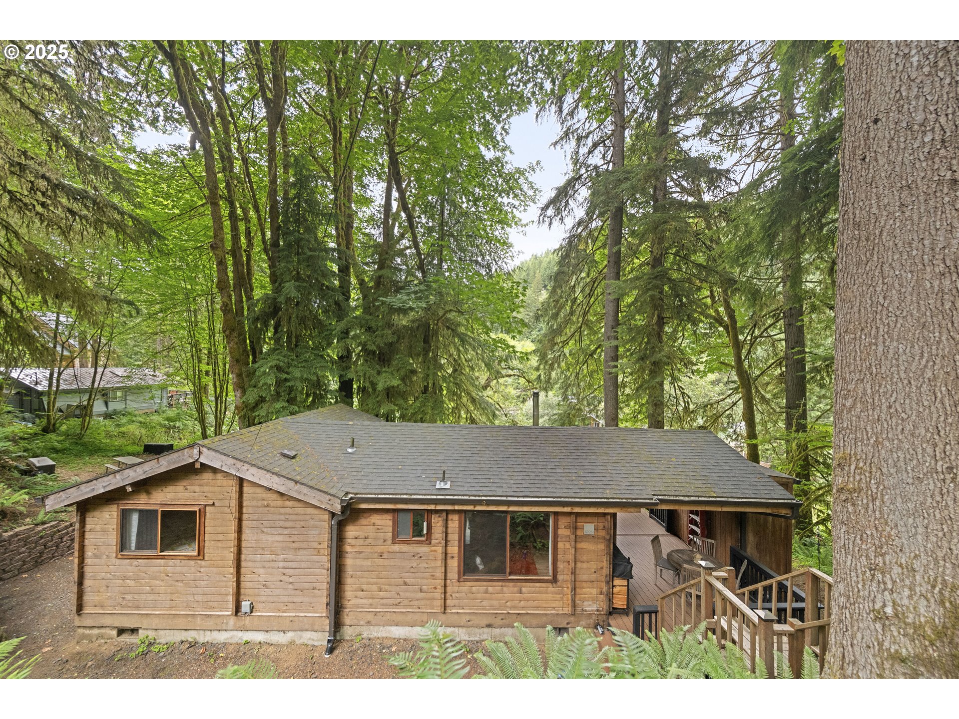 10251 Ridgeview Terrace Birkenfeld, OR 97016 - Photo 2 of 44