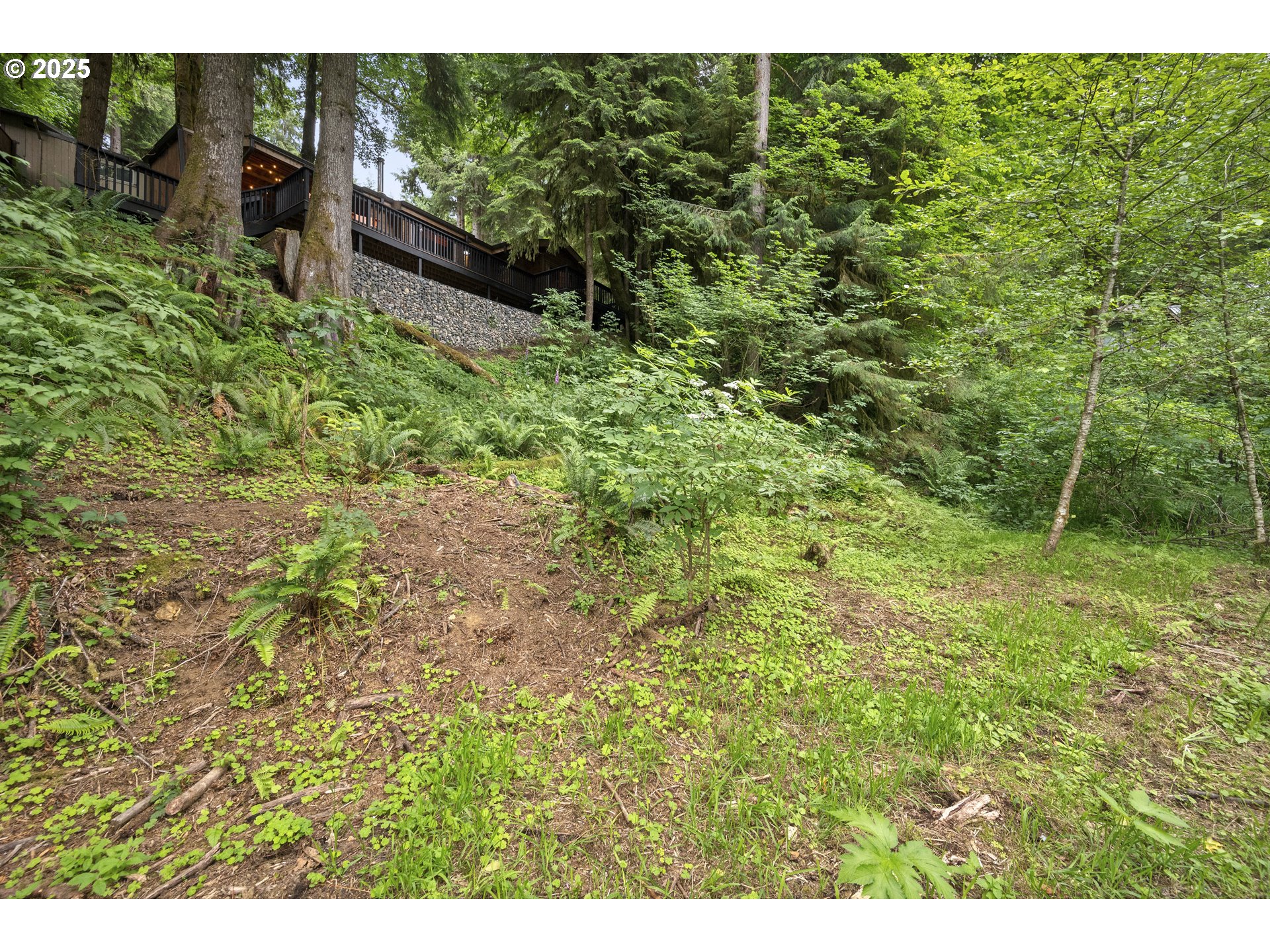10251 Ridgeview Terrace Birkenfeld, OR 97016 - Photo 27 of 44