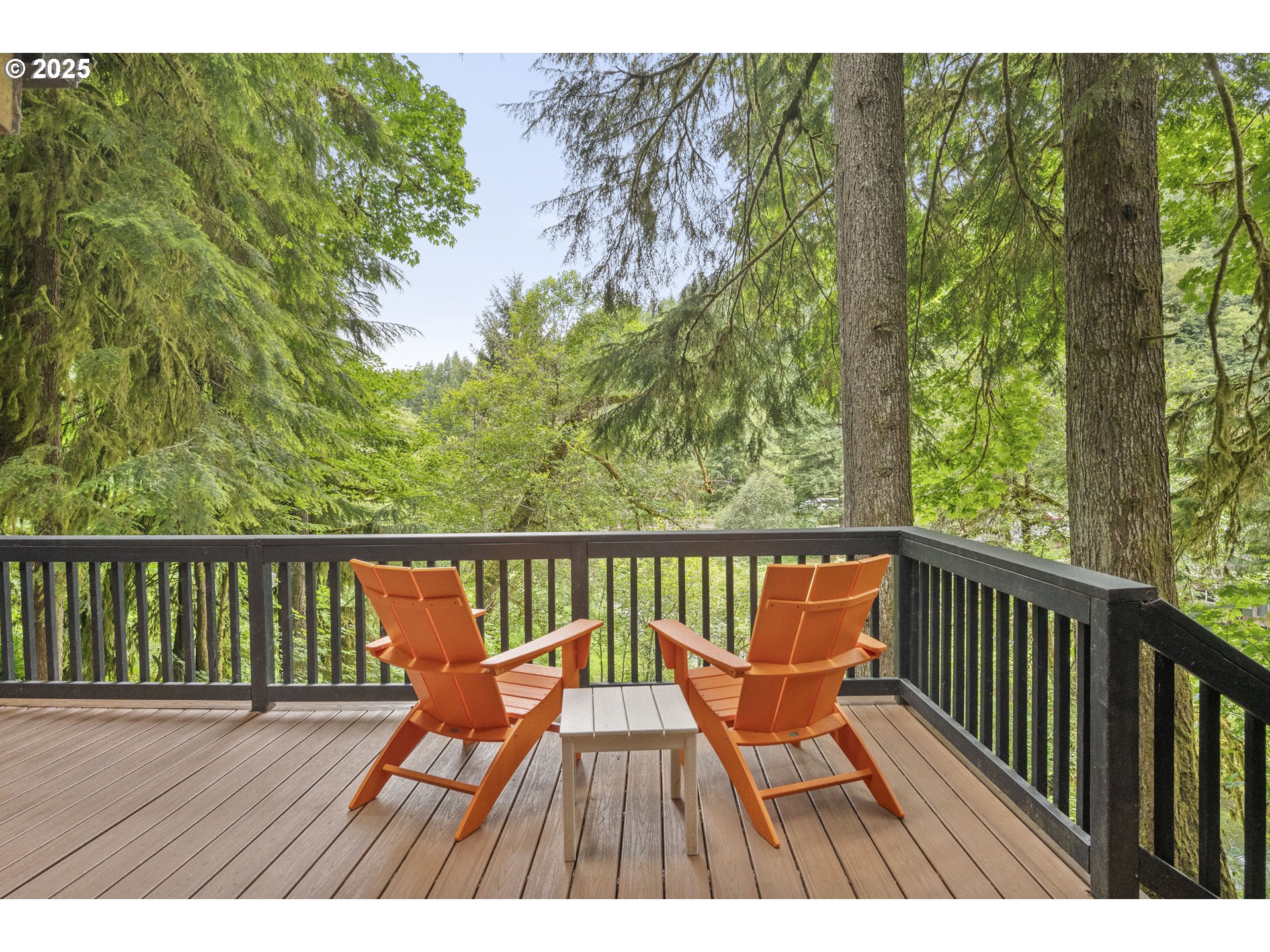 10251 Ridgeview Terrace Birkenfeld, OR 97016 - Photo 4 of 44