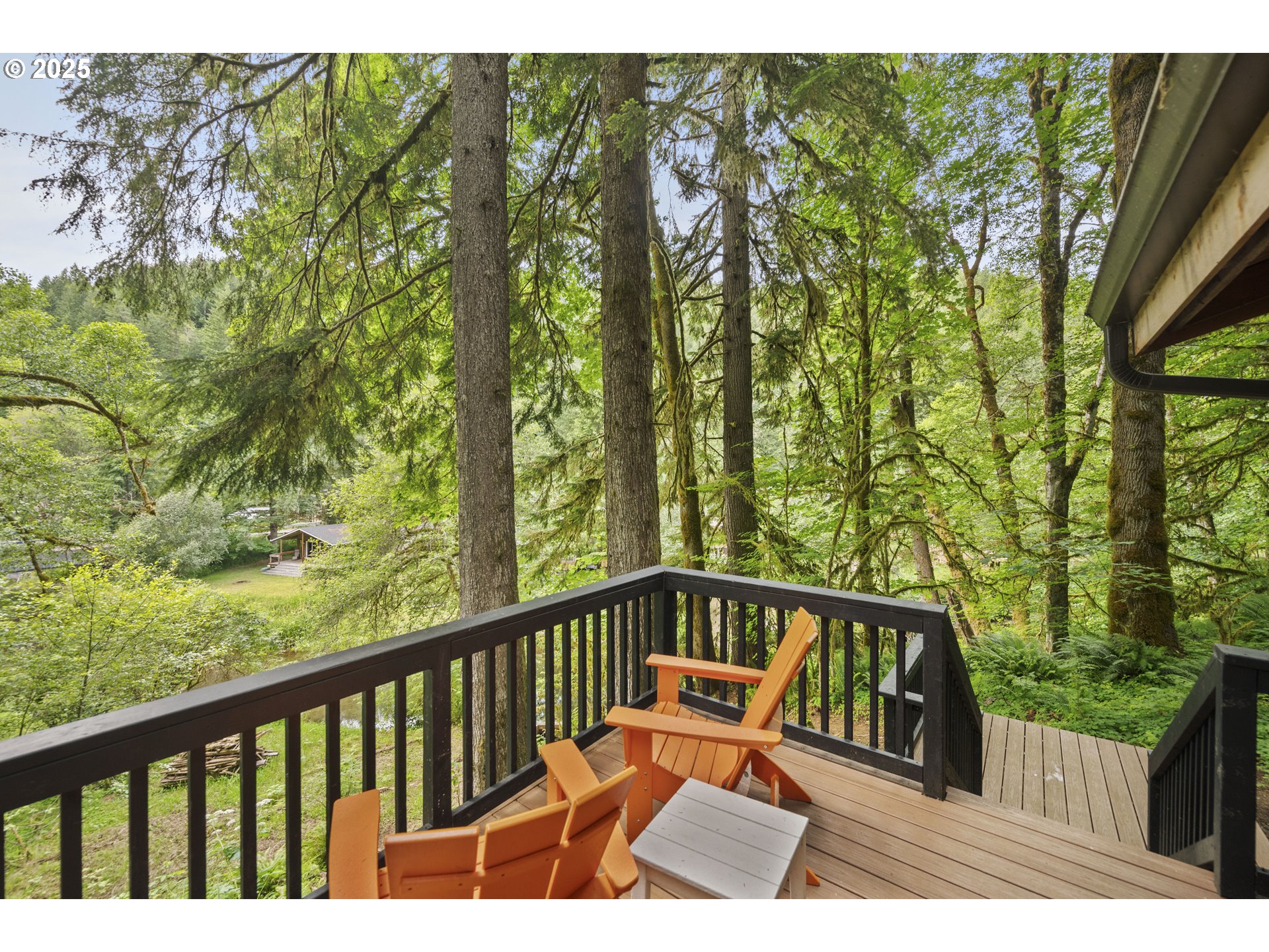 10251 Ridgeview Terrace Birkenfeld, OR 97016 - Photo 10 of 44