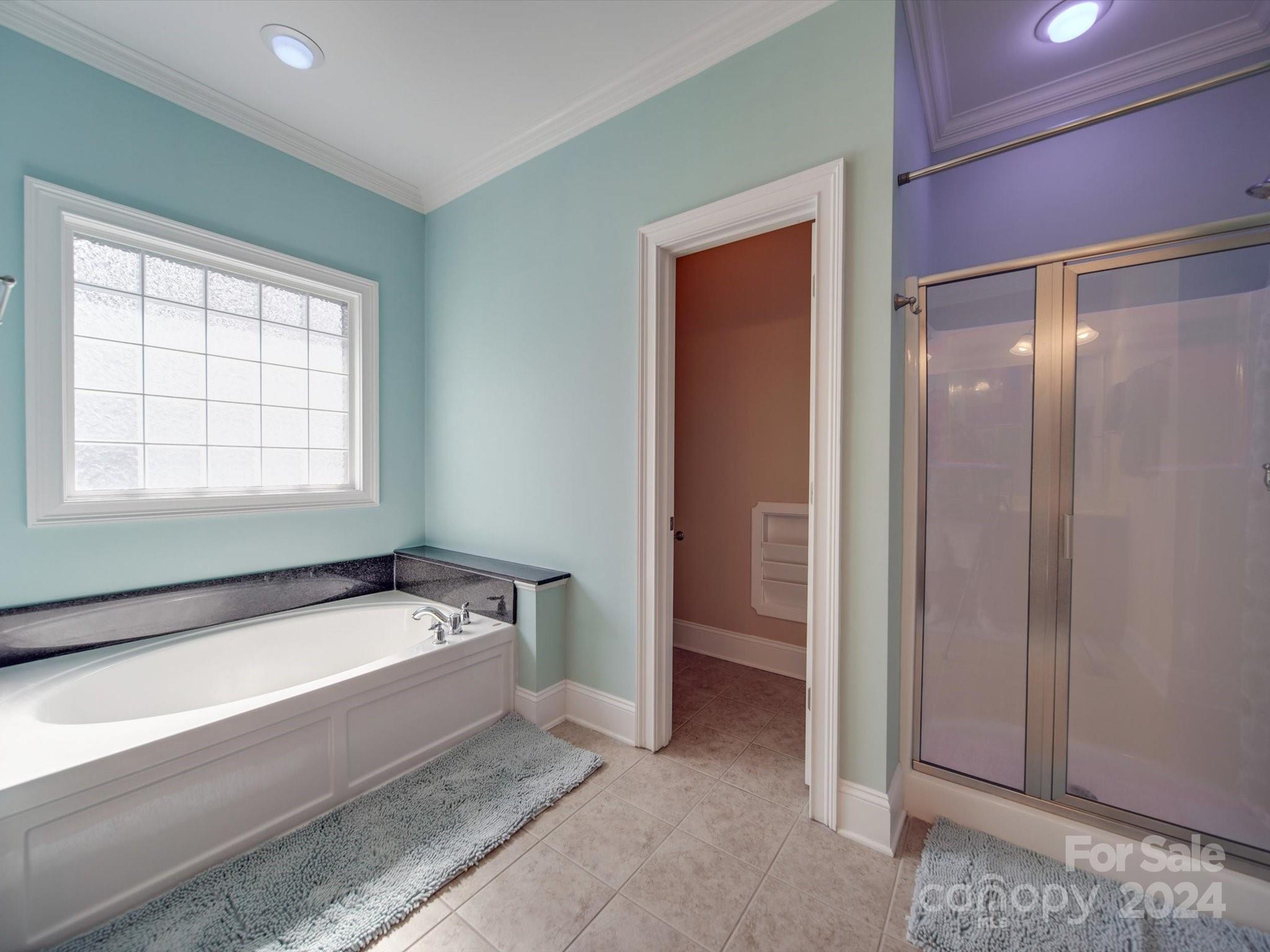 19617 Coachmans Trace Cornelius, NC 28031 - Photo 11 of 46 a bathroom with a bathtub and a shower