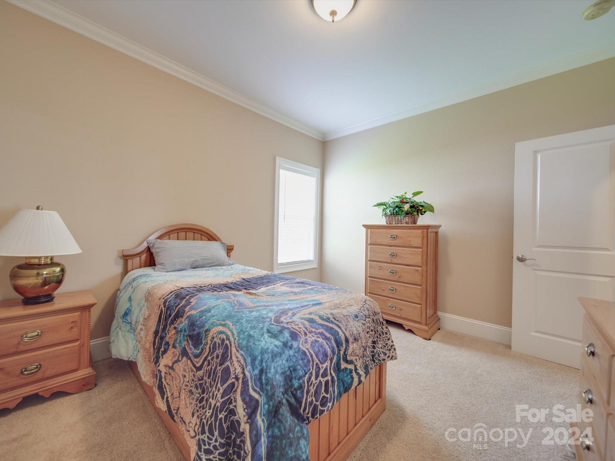 19617 Coachmans Trace Cornelius, NC 28031 - Photo 30 of 46 a bedroom with a bed and a cabinets