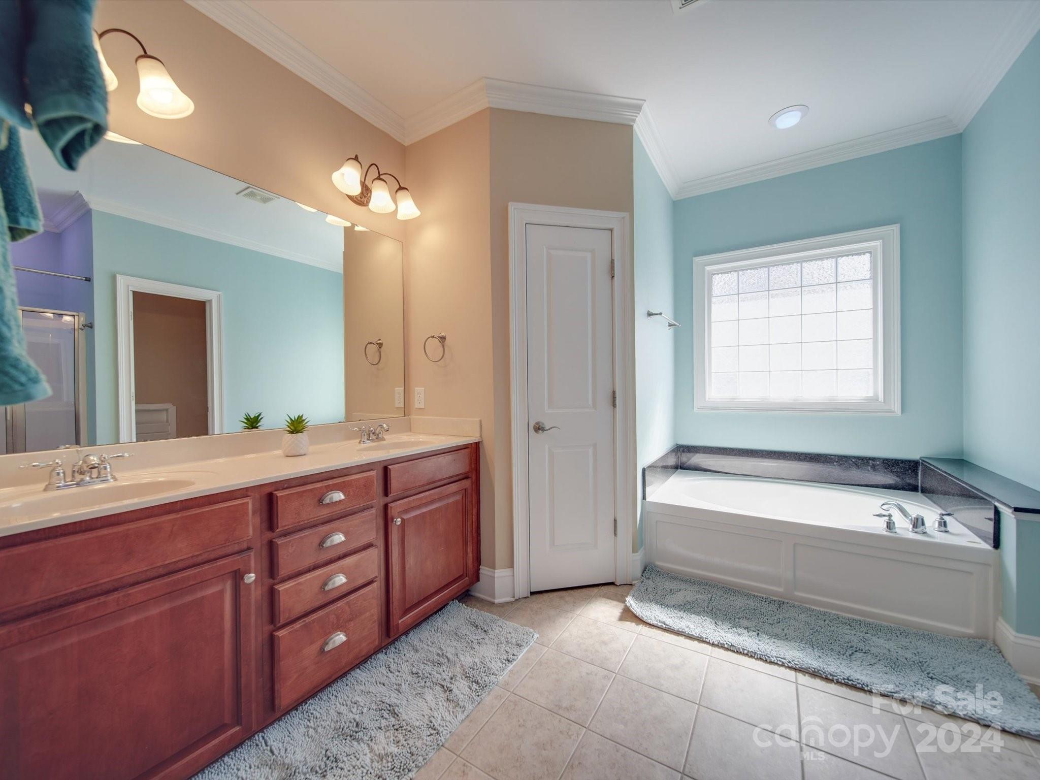 19617 Coachmans Trace Cornelius, NC 28031 - Photo 10 of 46 a spacious bathroom with a tub sink and mirror