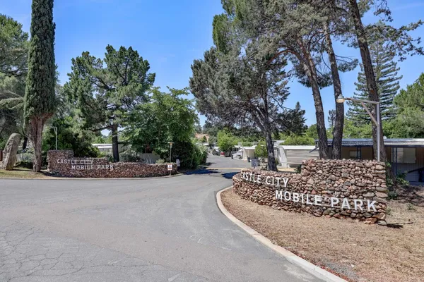 a view of a park with large trees