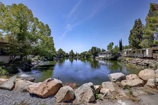 a lake view with boat and palm trees