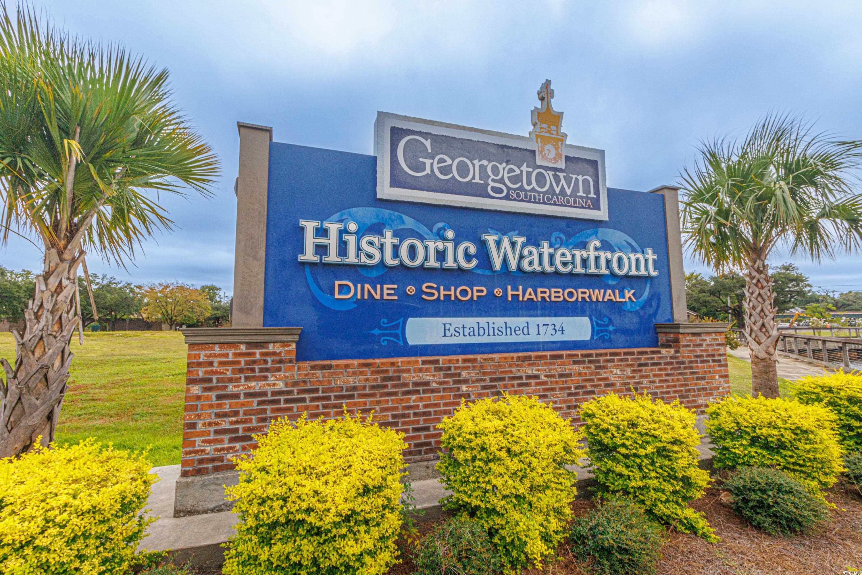 507 Sorrell Drive Georgetown, SC 29440 - Photo 32 of 32