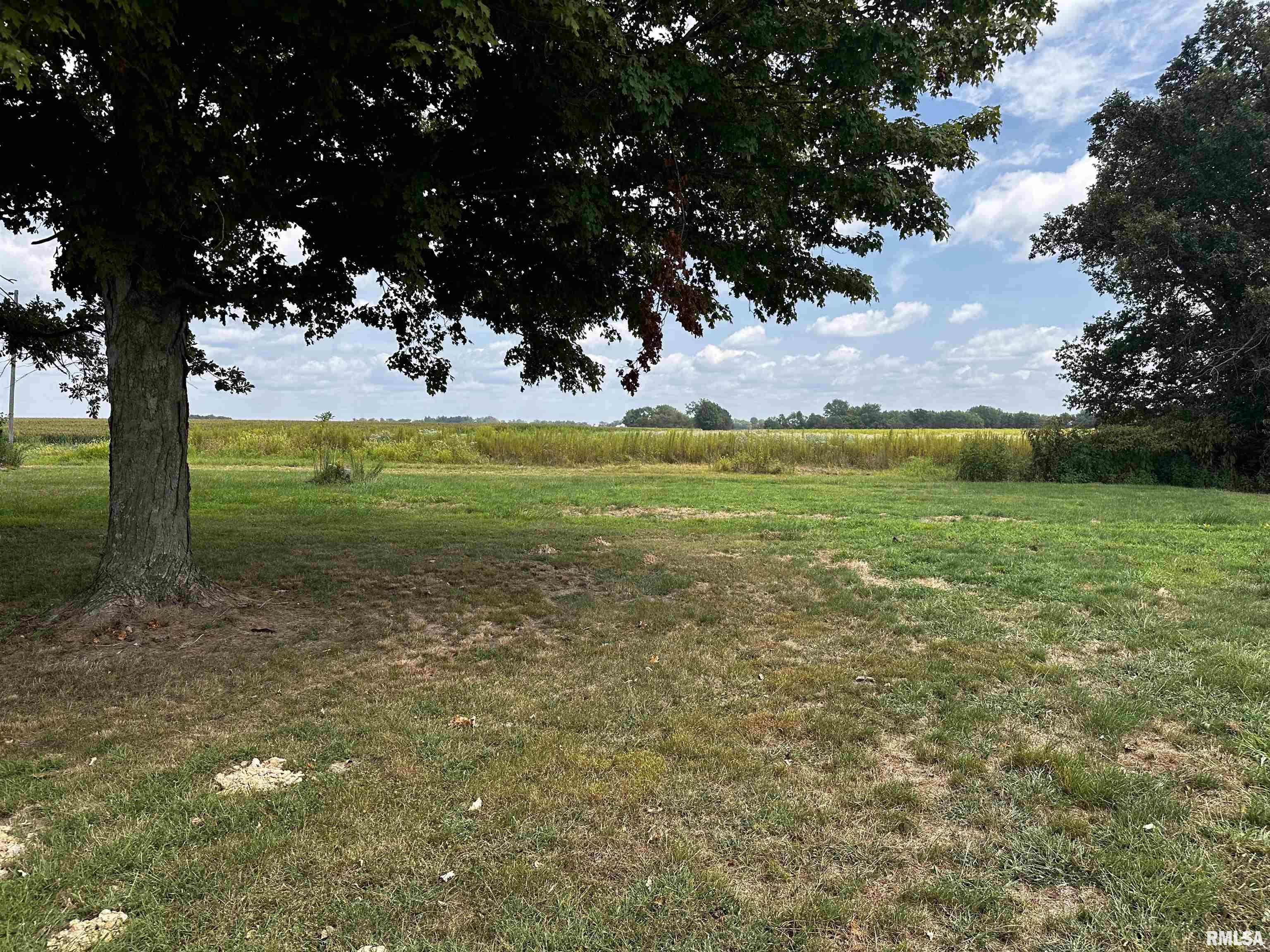 10975 Colbrook Road Carlinville, IL 62626 - Photo 32 of 39